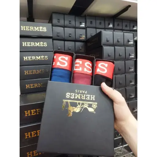 Premium Hermes