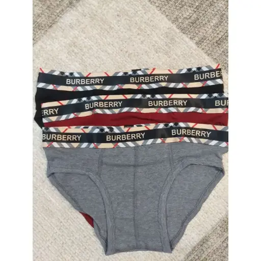 Burberry slip